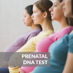 Prenatal Paternity Testing